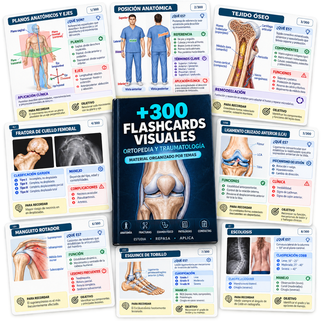 Mockup principal de +300 Flashcards Visuales de Ortopedia y Traumatología