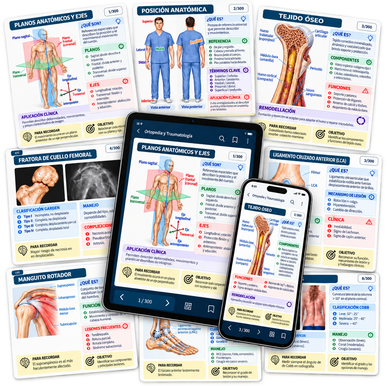 Mockup principal transparente y tridimensional con los flashcards de Ortopedia y Traumatología en formato impreso, tablet y celular